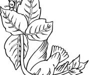 Coloriage Joli Colibri sur une branche