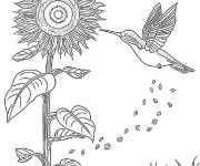 Coloriage La grande friandise du colibri