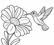 Coloriage La joie du colibri