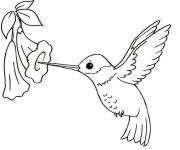 Coloriage Le nectre d&eacute;licieux