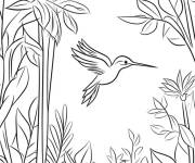 Coloriage Les plantes ou on trouves le Colibri