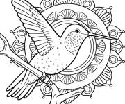 Coloriage Mandala Colibri perch&eacute; sur une branche