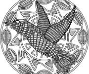 Coloriage Mandala Colibri pour les adultes