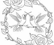 Coloriage Mandala Des colibris en contour des roses