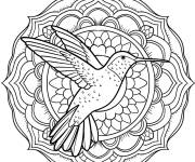 Coloriage Mandala &eacute;l&eacute;gant de colibri