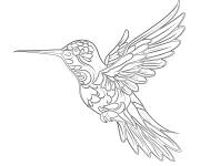 Coloriage Modèle Colibri en vert et rouge