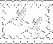 Coloriage Mod&egrave;le de Colibris