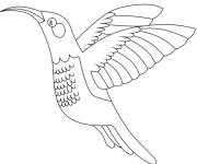 Coloriage Oiseau Colibri eau vol