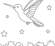Coloriage Oiseau Colibri galactique