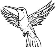 Coloriage Page Colibri pour adultes