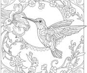 Coloriage Paysage colibri incroyable