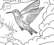 Coloriage Paysage de colibri dans le ciel
