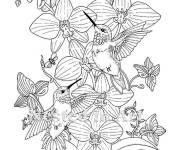 Coloriage Peinture de deux Colibris petite section