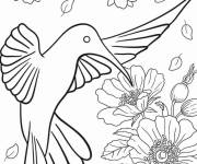Coloriage Plan simple d'un colibri pour les enfants