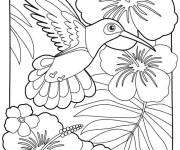 Coloriage Portrait vectoriel du oiseau avec des fleur