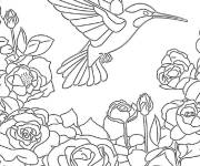 Coloriage Rendez-vous des colibris