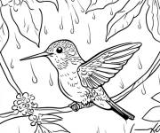 Coloriage Se profite de la pluie