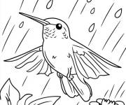 Coloriage Se prot&eacute;ger dans l'arbre