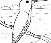 Coloriage Sur la plage