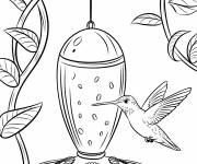 Coloriage Sur une mangeoire