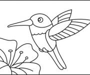 Coloriage Tout petit Colibri