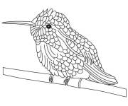 Coloriage Tout petit oiseau Colibri se reposant