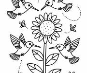 Coloriage Trois colibris autour d&rsquo;un tournesol gai