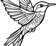 Coloriage Un adorable oiseau de Colibri