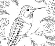 Coloriage Un colibri à motifs en forme de fougère