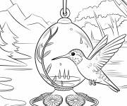 Coloriage Un colibri &agrave; une mangeoire suspendue