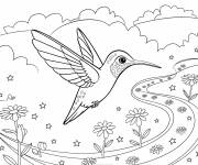 Coloriage Un colibri au-dessus d&rsquo;un sentier
