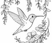 Coloriage Un colibri au milieu d’une cascade de jolies fleurs