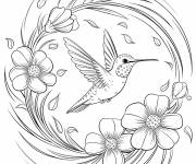 Coloriage Un colibri avec des p&eacute;tales