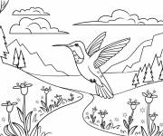 Coloriage Un colibri dans la compagne