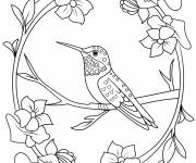 Coloriage Un colibri dans une composition florale
