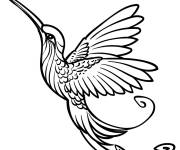 Coloriage Un colibri d&eacute;licat