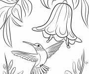 Coloriage Un colibri &eacute;clatant dans la nature
