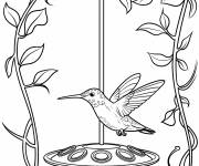 Coloriage Un colibri et une mangeoire en verre