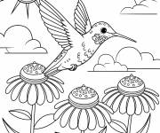 Coloriage Un colibri flotte au-dessus de trois fleurs color&eacute;es au soleil