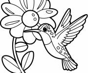 Coloriage Un colibri joueur volette