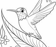 Coloriage Un colibri joyeux