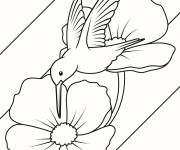 Coloriage Un colibri, l'oiseau rapide