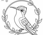 Coloriage Un colibri paisible