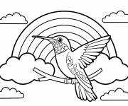 Coloriage Un colibri sous un arc-en-ciel