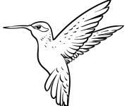 Coloriage Un colibri volant coloriable