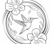 Coloriage Un colibri volant dans un cercle flora