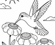 Coloriage Un colibri volant sur trois jolis fleurs