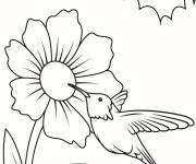 Coloriage Un petit colibri sur une &eacute;norme fleur