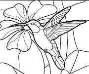 Coloriage Vitrail Colibri et Fleur