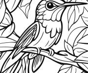 Coloriage Vitrail de Colibri